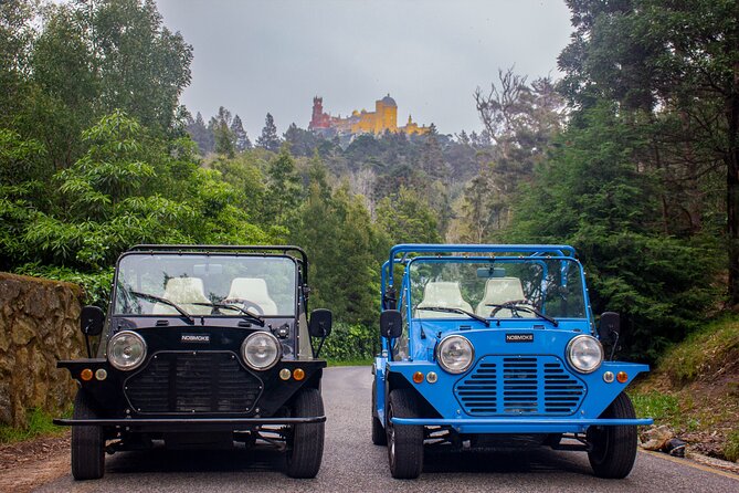 Sintra Tuk Tuk (Electric) 4-5 hours tour - Stop 5: Quinta da Regaleira and the Initiatic Well in the gardens