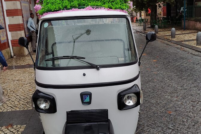 Tuk Tuk Transfer With Sintra Pena Ticket From Meeting Point - Exploring the Park and National Palace: set your own pace