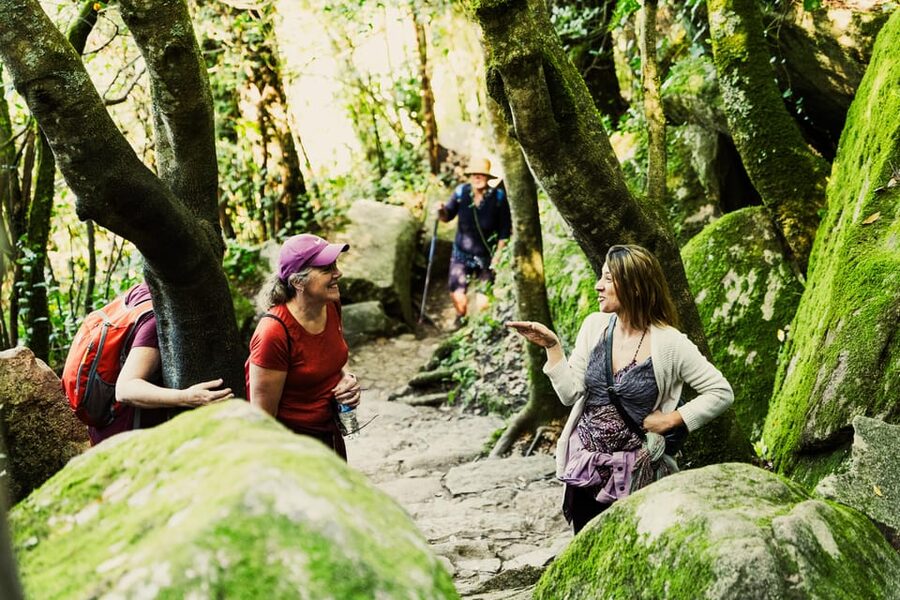 Walking tour:Pena Palace, Moorish Castle,Quinta da Regaleira - Pena Palace: the Romantic icon in guided context