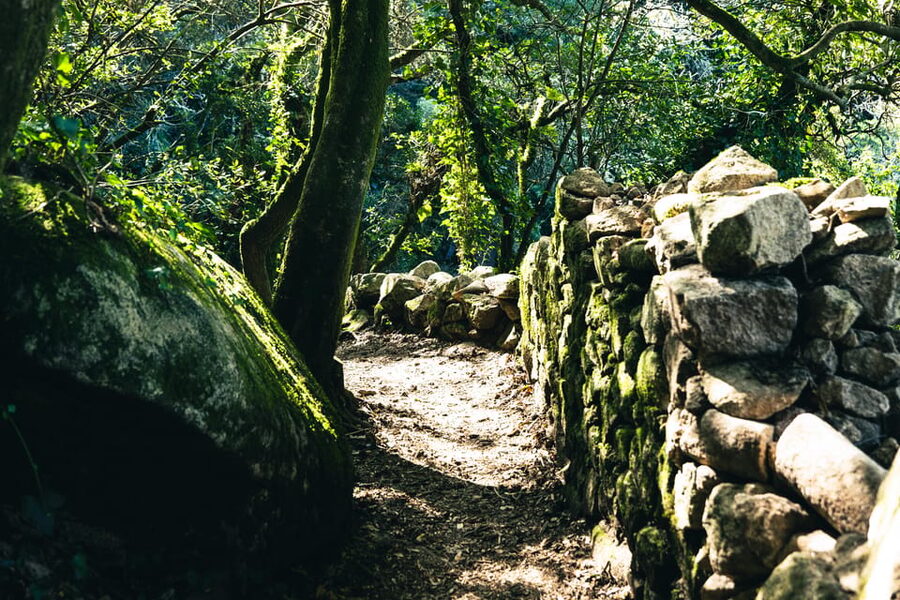 Walking tour:Pena Palace, Moorish Castle,Quinta da Regaleira - Vila Sassetti Trail: the walk that turns into a mood