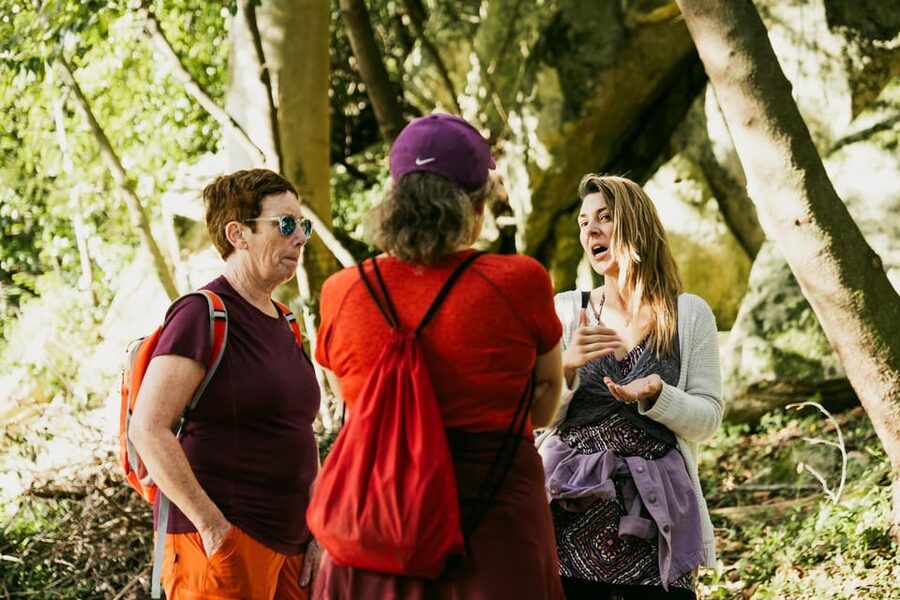 Walking tour:Pena Palace, Moorish Castle,Quinta da Regaleira - Pickup and the flow of your 6 hours in Sintra
